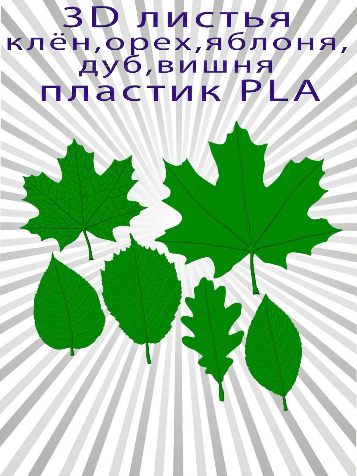 Набор листья яблоня зелёные
